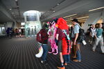 DSC_8989.JPG